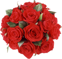 skidki-na-8-marta-ot-irest